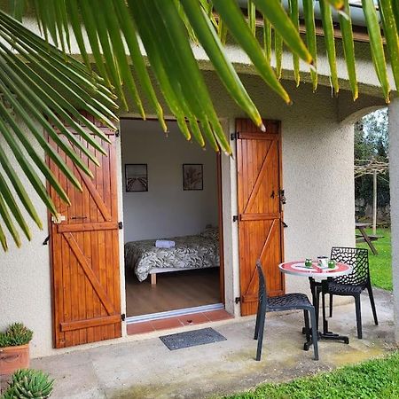 Appartement Dans Une Maison Proche Du Mett , Tran , Beauzelle Dış mekan fotoğraf